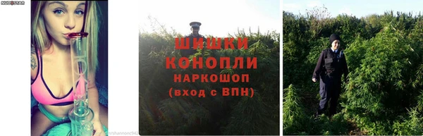 каннабис Няндома