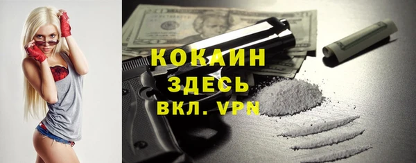 индика Балахна