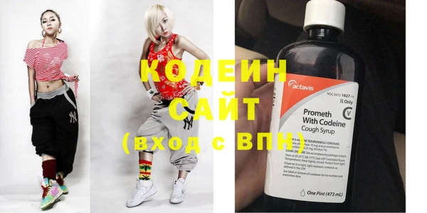 индика Балахна