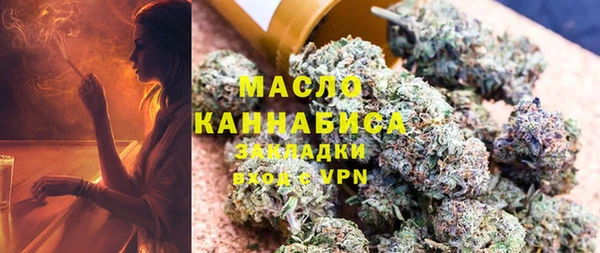 индика Балахна