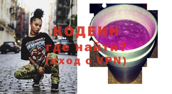 индика Балахна