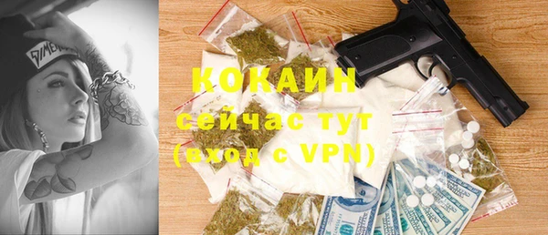 индика Балахна