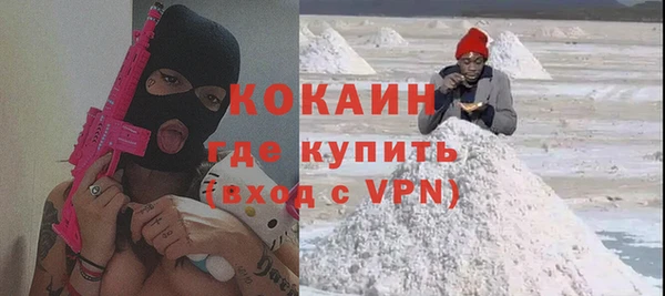 индика Балахна